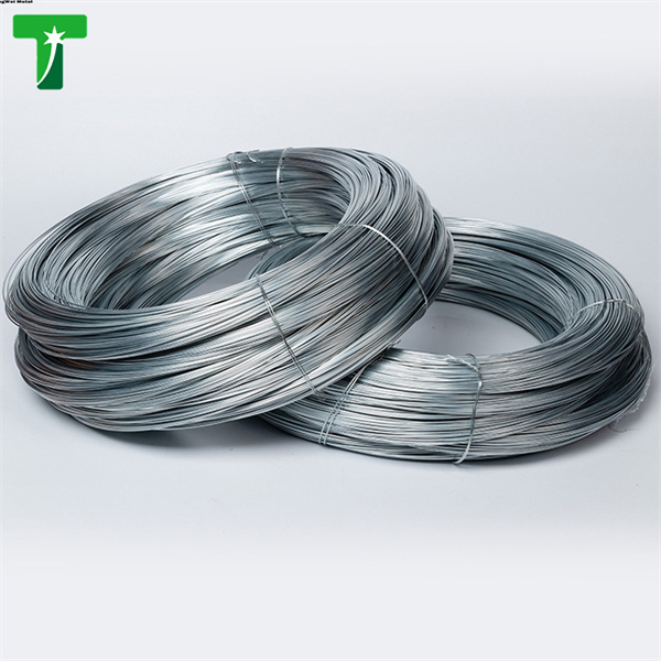 ASTM A36 ​Electrogalvanized Low Carbon Steel Wire